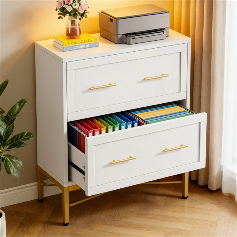 Chic 2-Drawer Filing Cabinet with Gold Legs