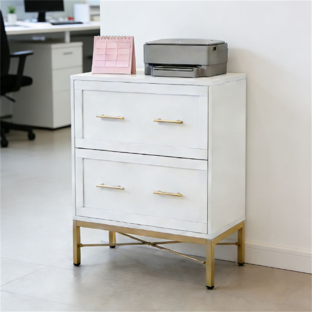 Chic 2-Drawer Filing Cabinet with Gold Legs