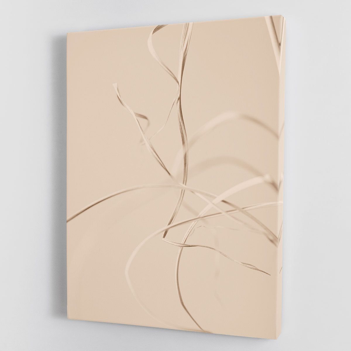 Dried Grass Beige 02 Canvas Print or Poster