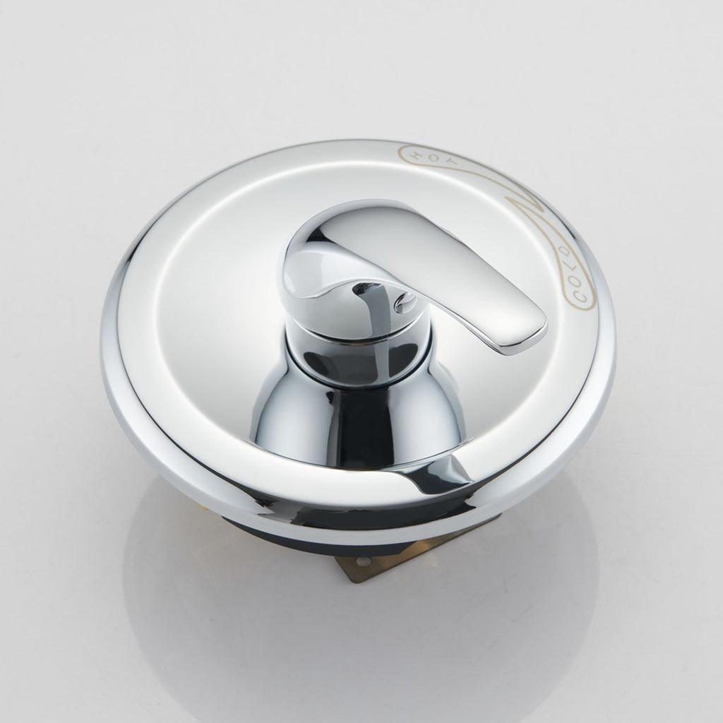 Adjustable Dual Rain and Hand Shower System