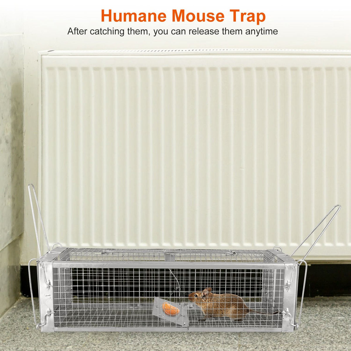 Dual-Door Live-Catch Rodent Trap