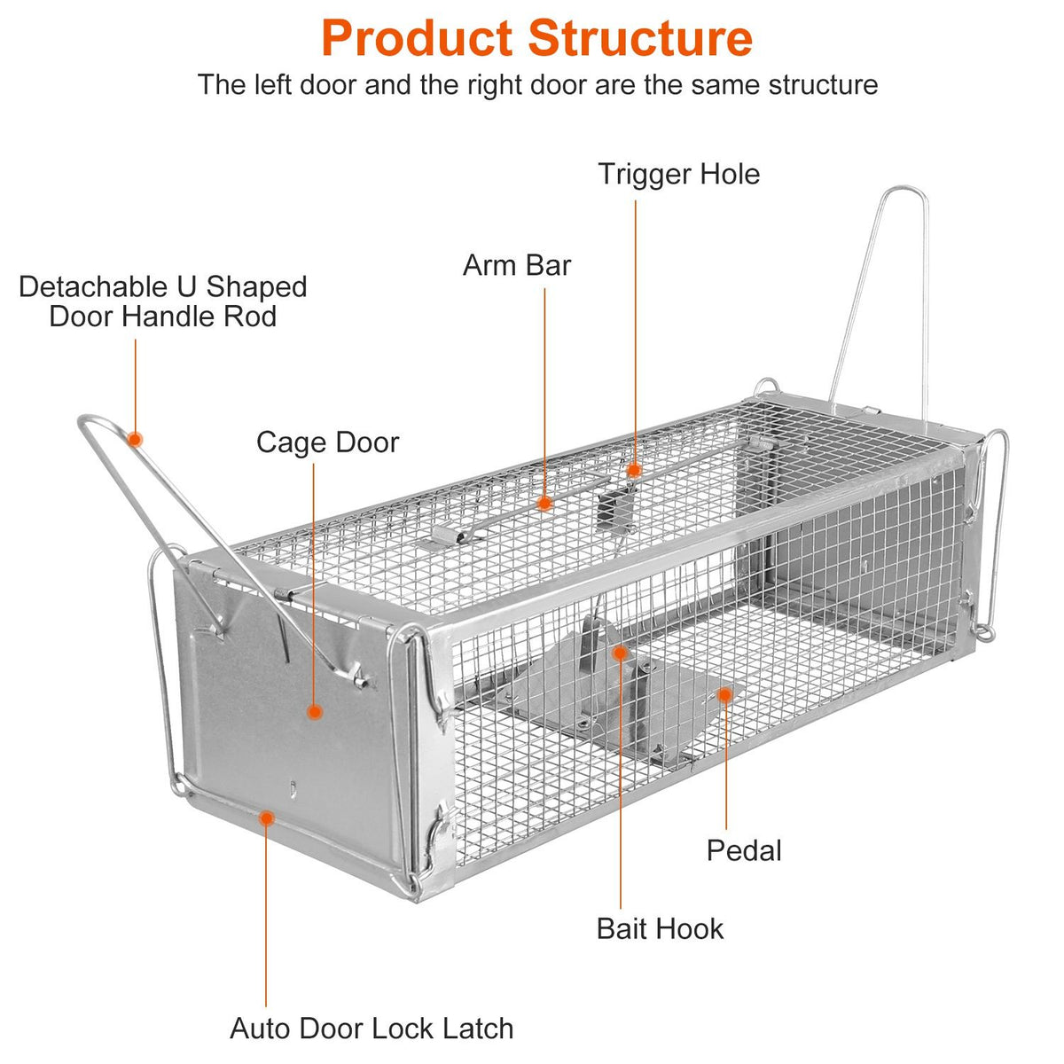 Dual-Door Live-Catch Rodent Trap