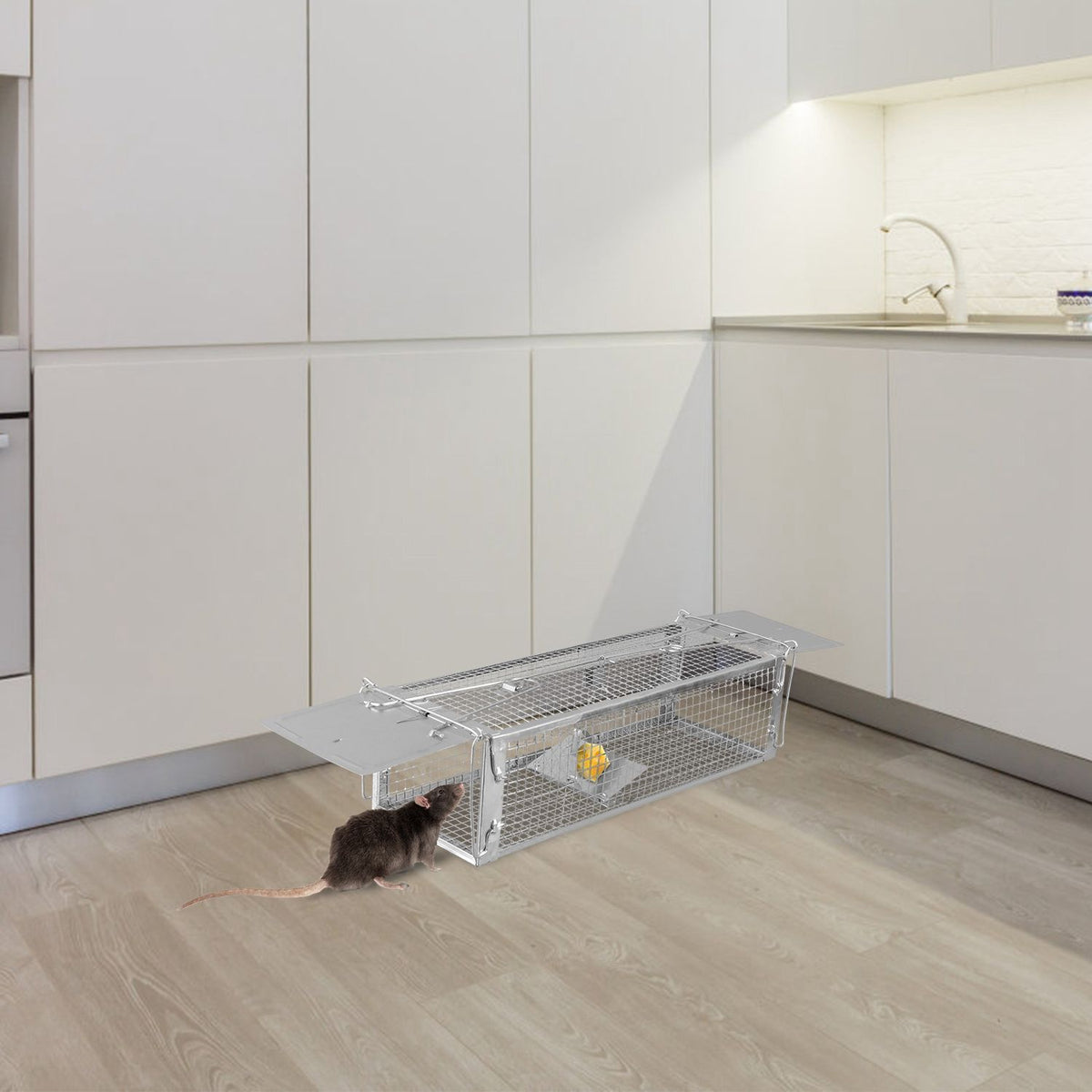 Dual-Door Live-Catch Rodent Trap