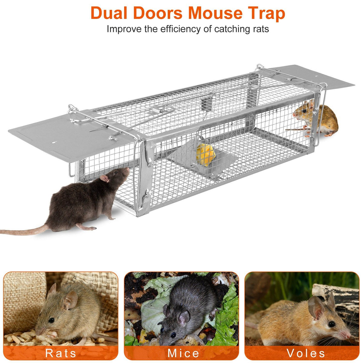 Dual-Door Live-Catch Rodent Trap