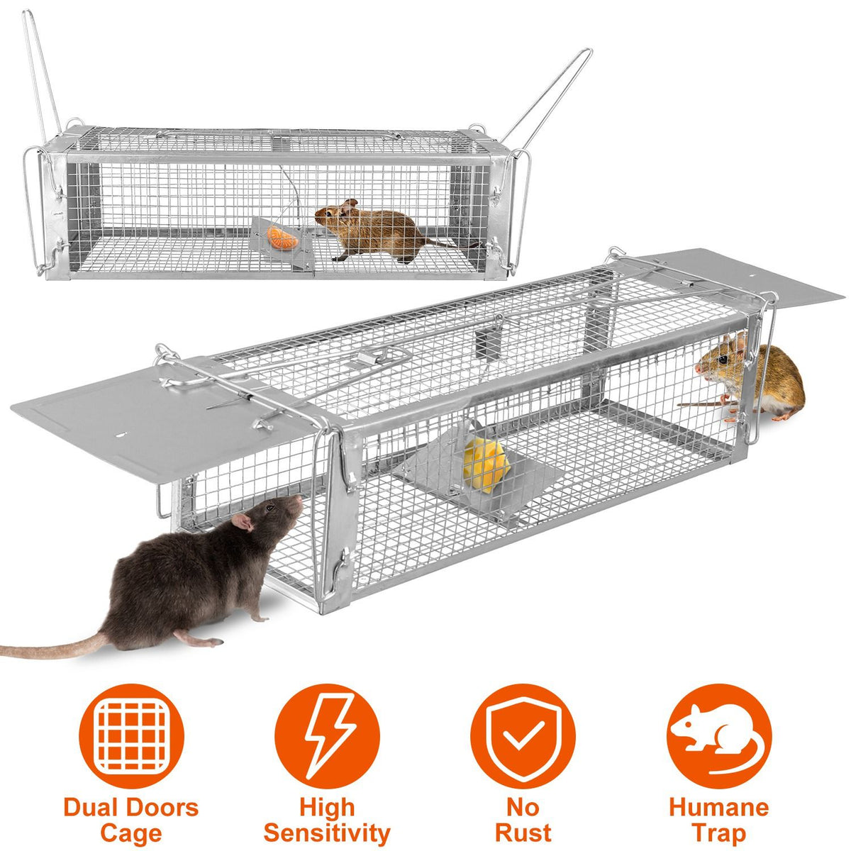 Dual-Door Live-Catch Rodent Trap