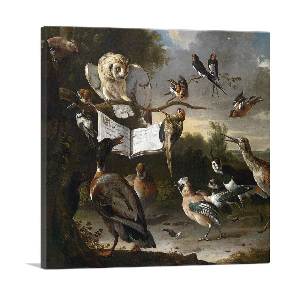 Duck, Parrot and Owl with Music Notebook Wall Art