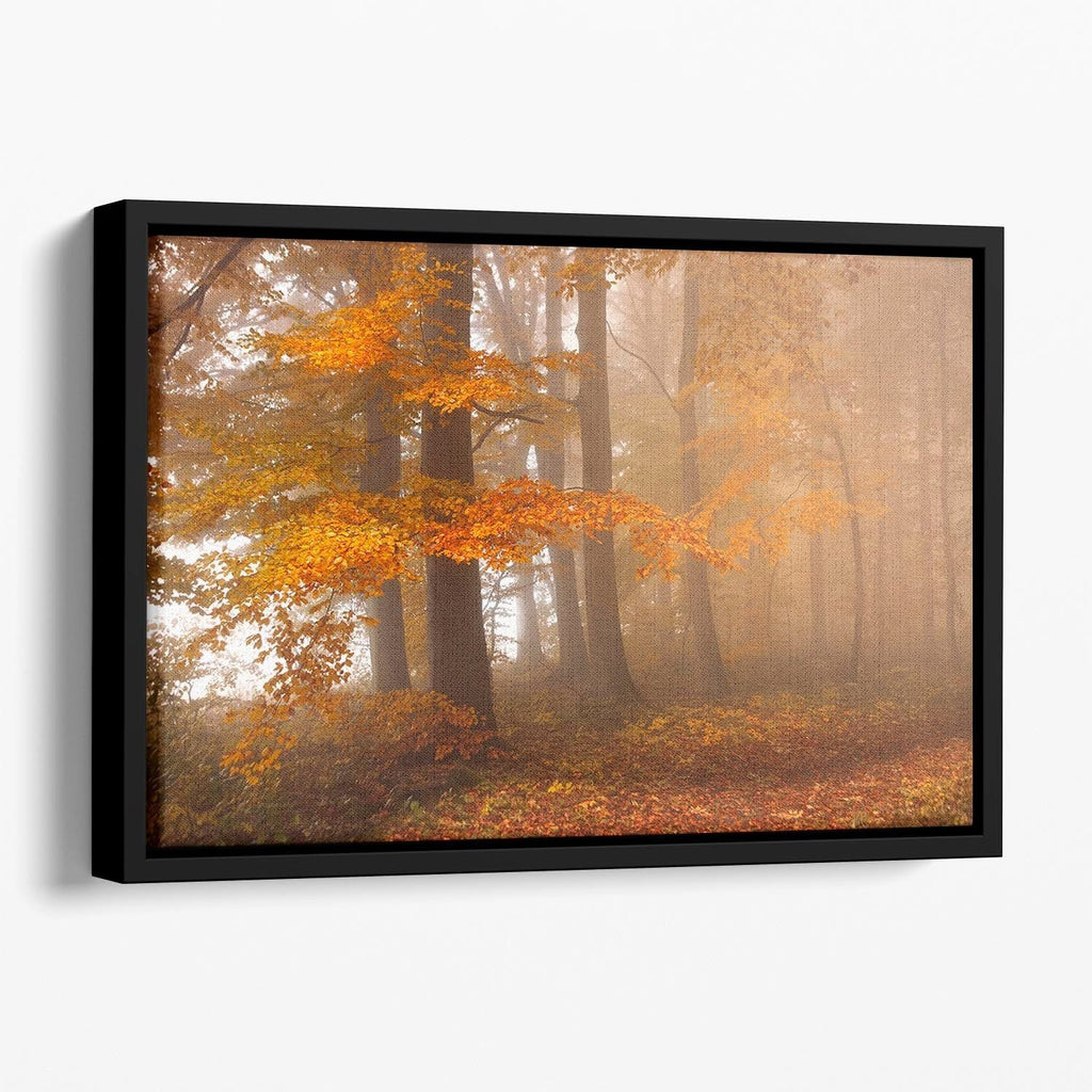 Edge of the Woods Floating Framed Wall Art