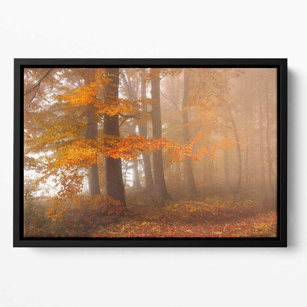 Edge of the Woods Floating Framed Wall Art