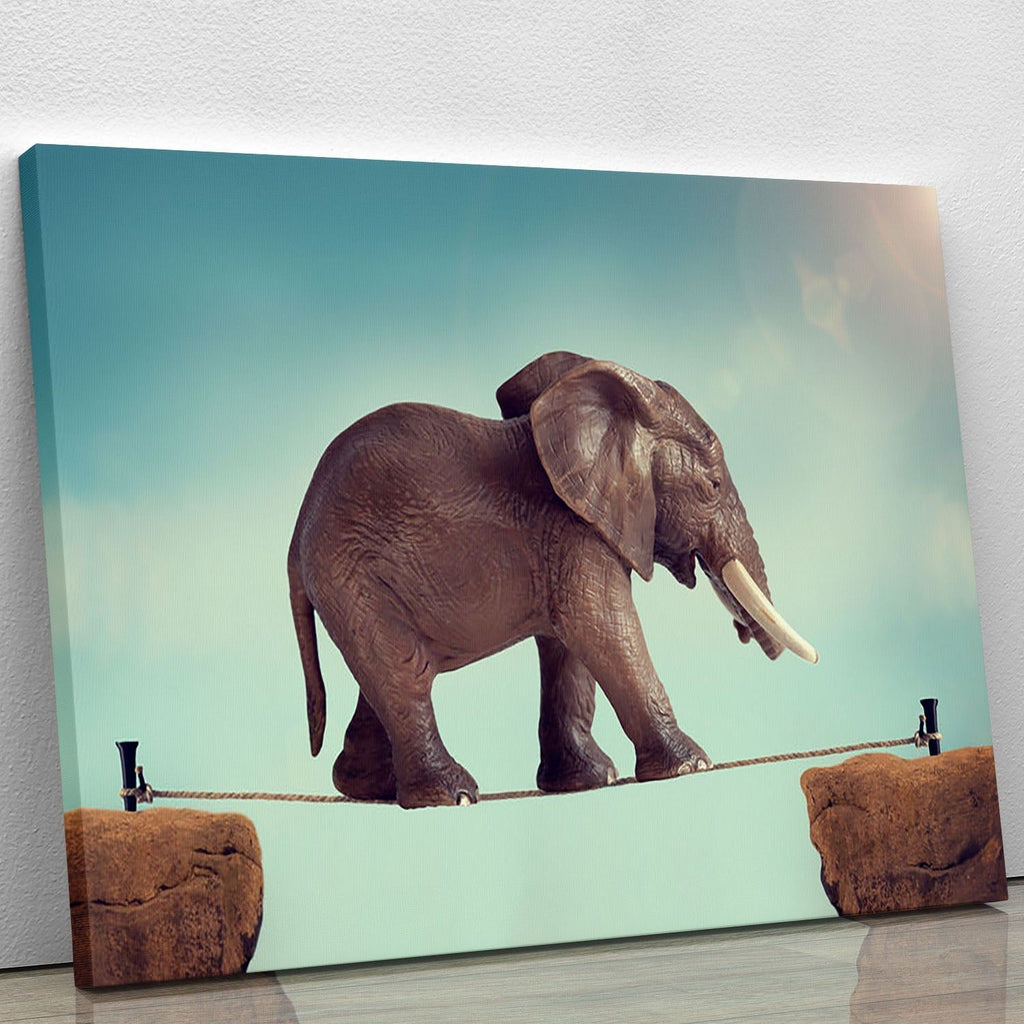 Elephant on a Tightrope Wall Art