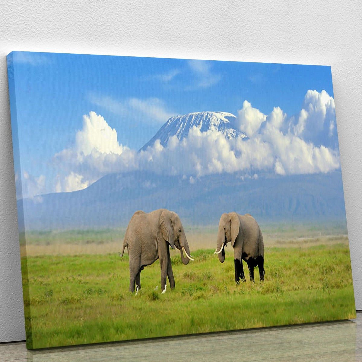 Elephant and Mount Kilimanjaro Wall Art