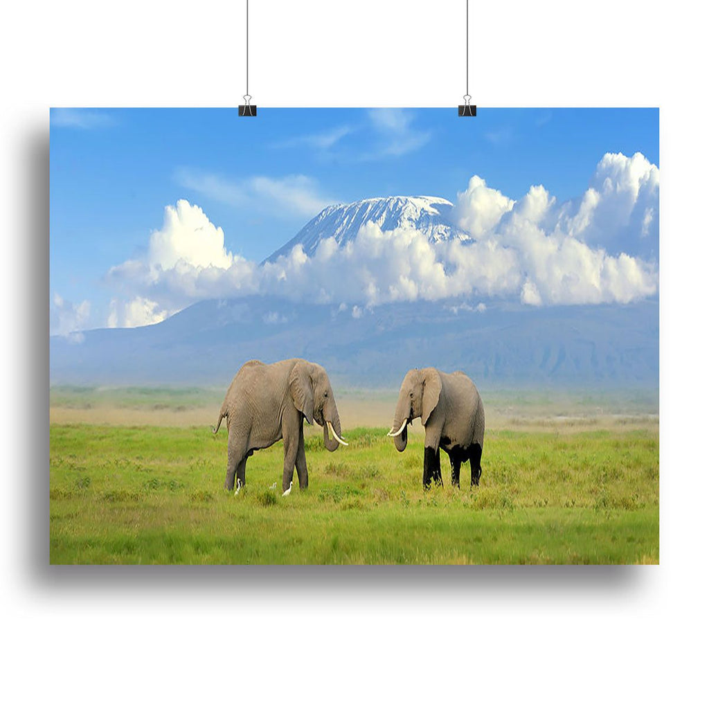 Elephant and Mount Kilimanjaro Wall Art