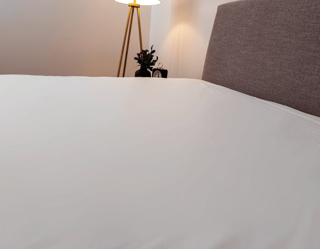 Smooth Full-Encasement Twin Mattress Protector