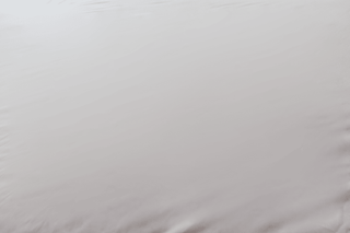Smooth Top Twin XL Full-Encasement Mattress Protector