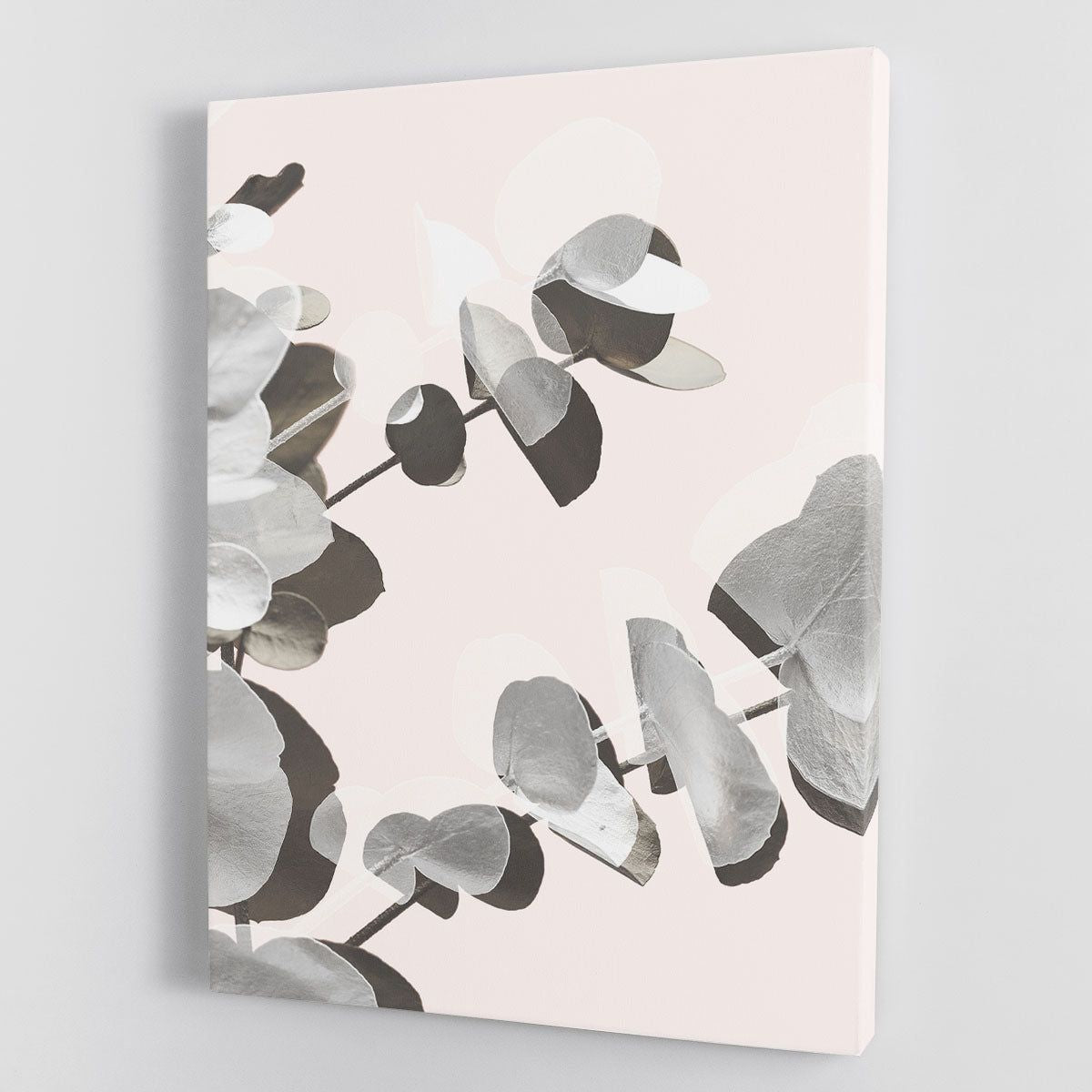 Stunning Canvas Prints and Posters for Any Decor