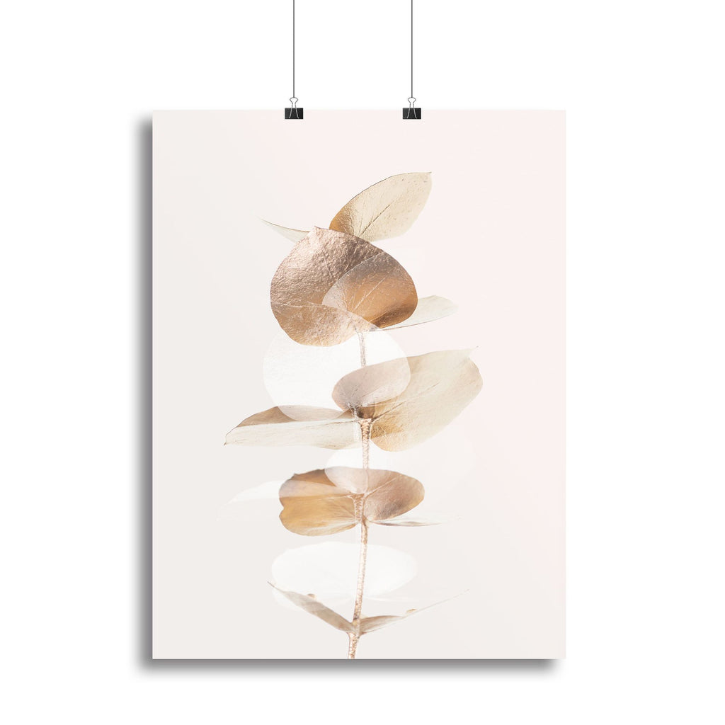 Eucalyptus Creative Gold 04 Canvas Print or Poster