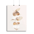 Eucalyptus Creative Gold 04 Canvas Print or Poster