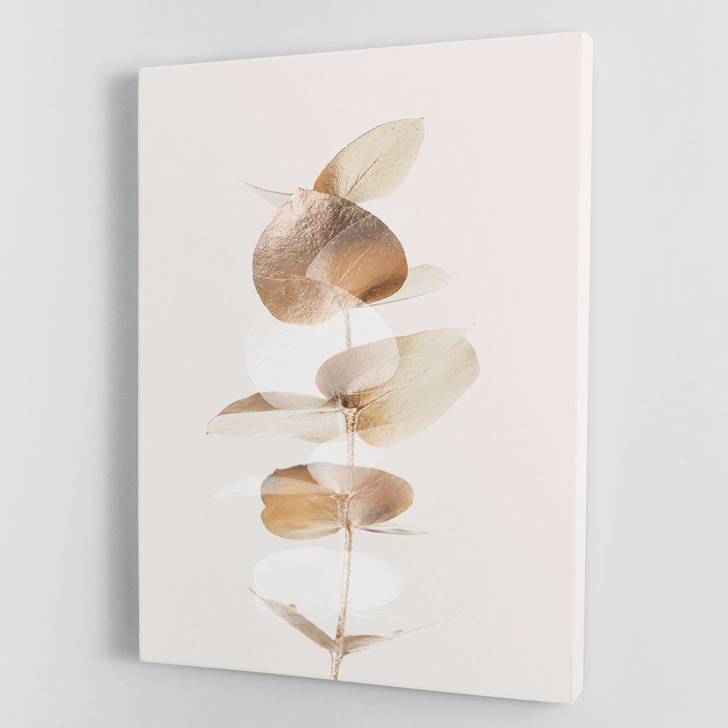 Eucalyptus Creative Gold 04 Canvas Print or Poster
