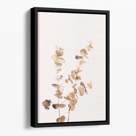 Eucalyptus Gold No 02 Floating Framed Art