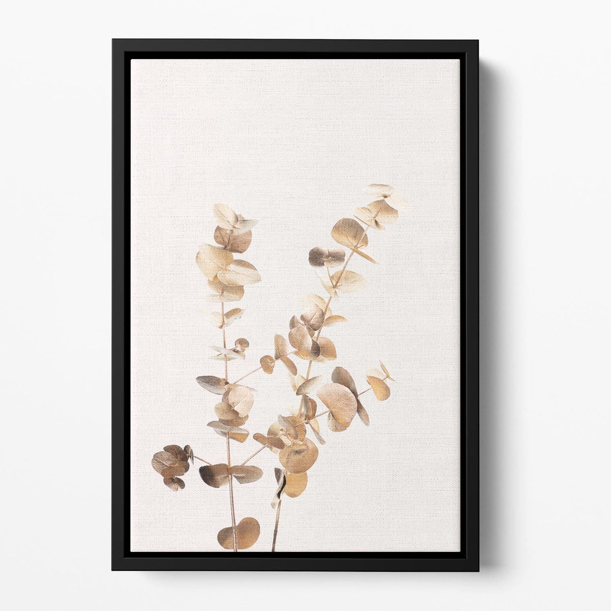 Eucalyptus Gold No 02 Floating Framed Art