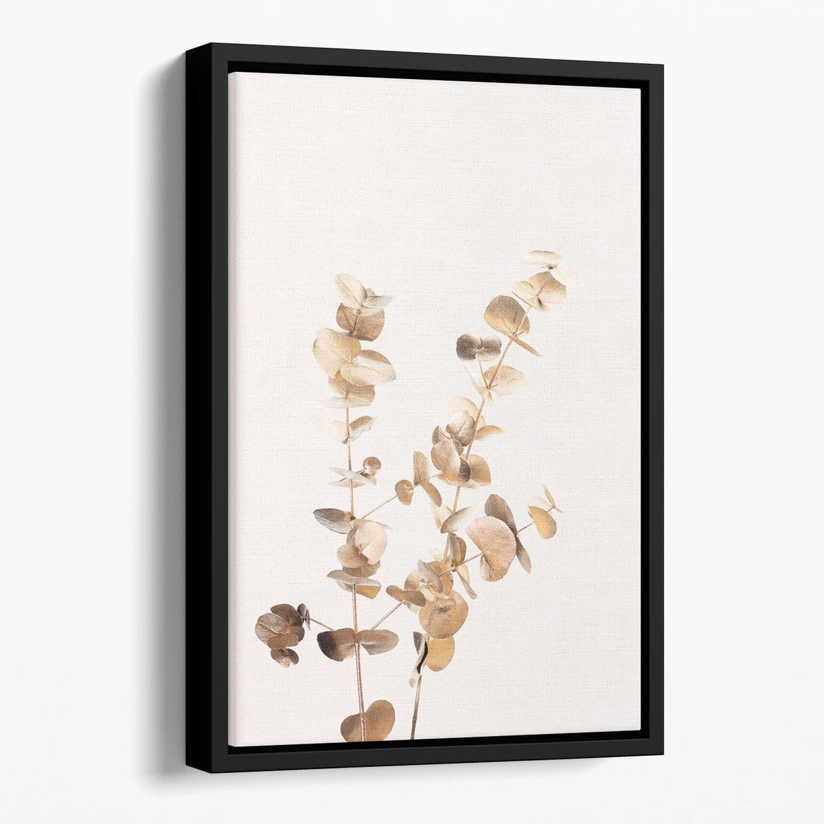 Eucalyptus Gold No 02 Floating Framed Art