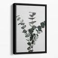 Eucalyptus Natural 01 Floating Framed Canvas