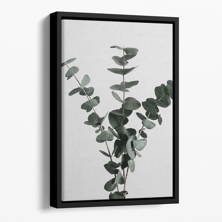 Eucalyptus Natural 01 Floating Framed Canvas
