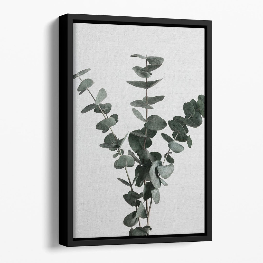 Eucalyptus Natural 01 Floating Framed Canvas