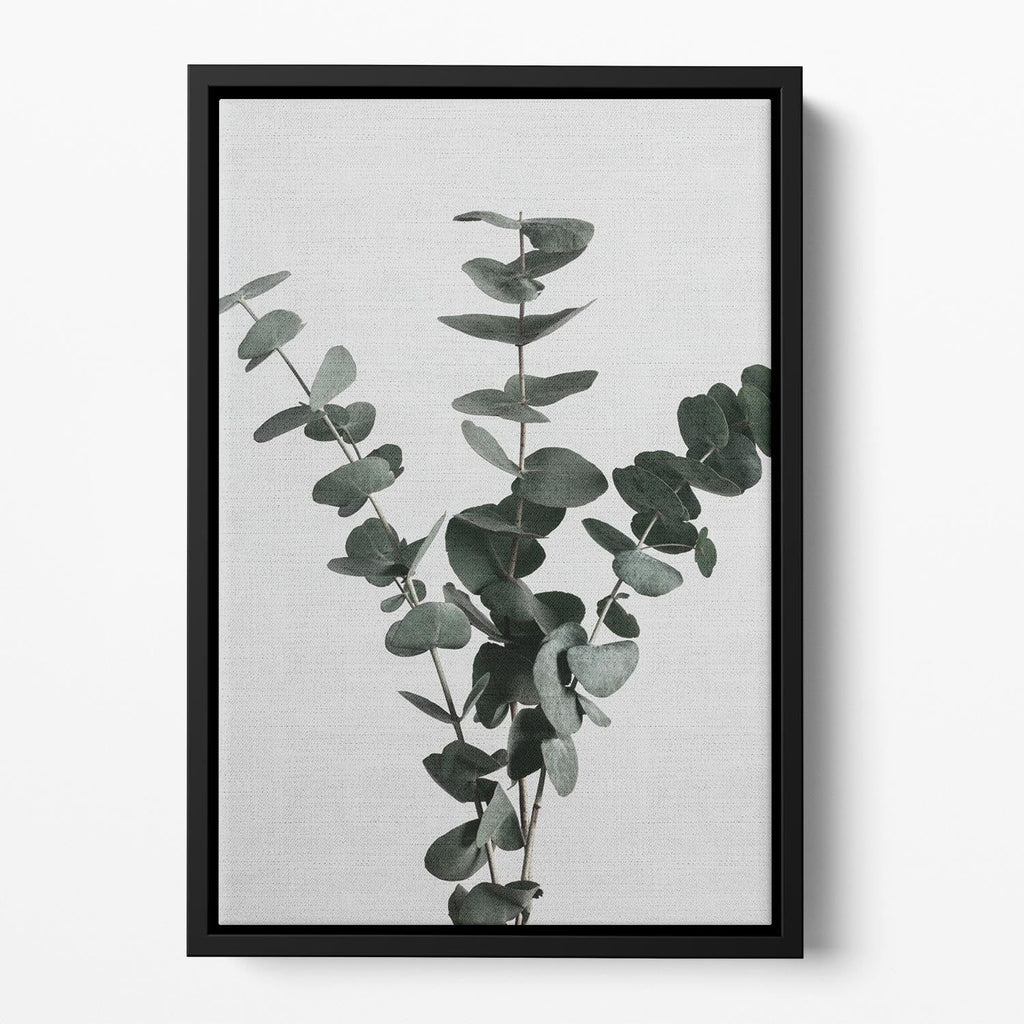 Eucalyptus Natural 01 Floating Framed Canvas