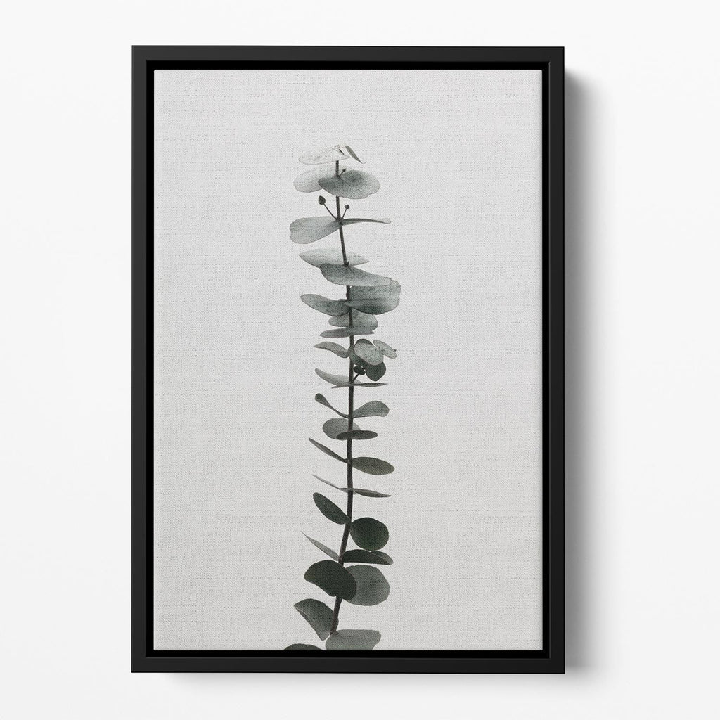 Eucalyptus Natural Floating Framed Canvas – Premium Wall Art