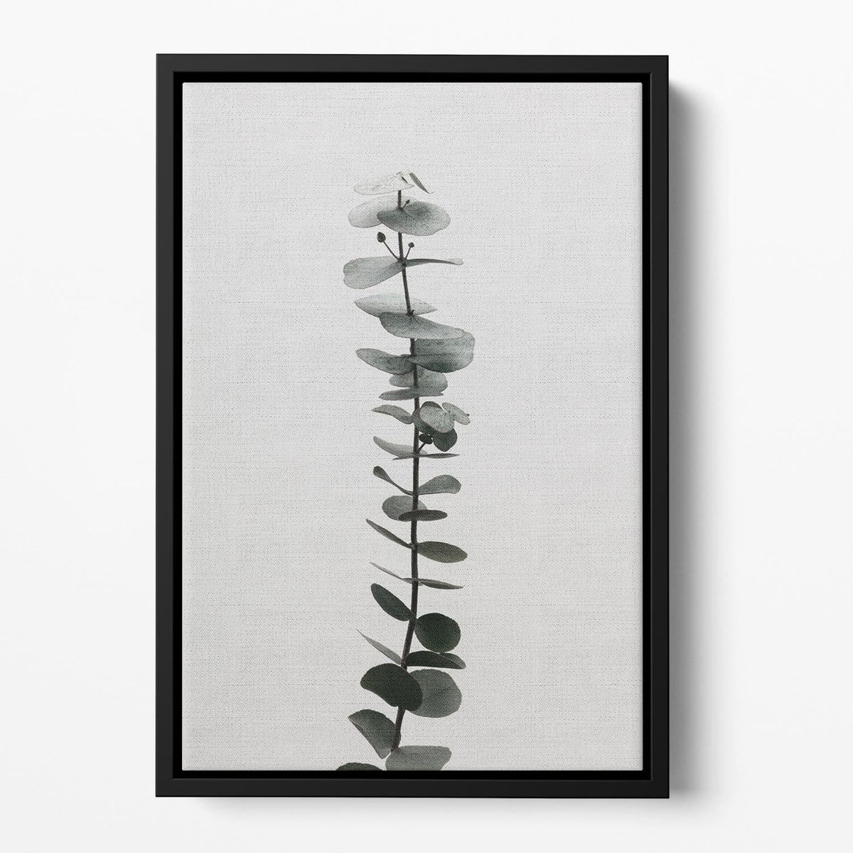 Eucalyptus Natural Floating Framed Canvas – Premium Wall Art