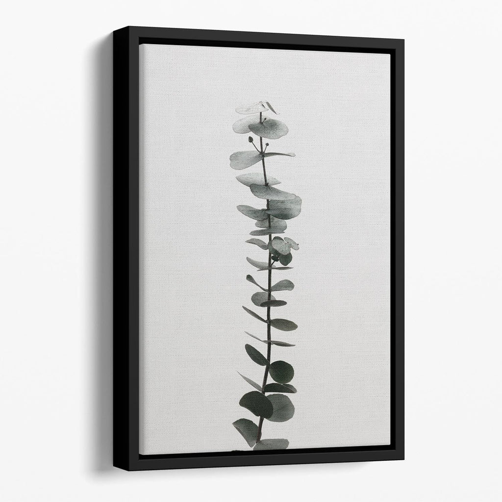 Eucalyptus Natural Floating Framed Canvas – Premium Wall Art