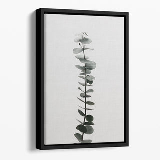 Eucalyptus Natural Floating Framed Canvas – Premium Wall Art