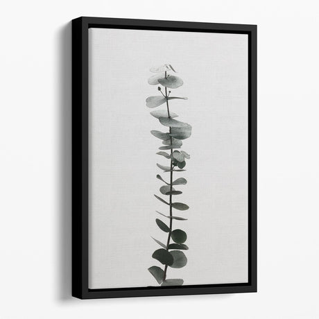 Eucalyptus Natural Floating Framed Canvas – Premium Wall Art