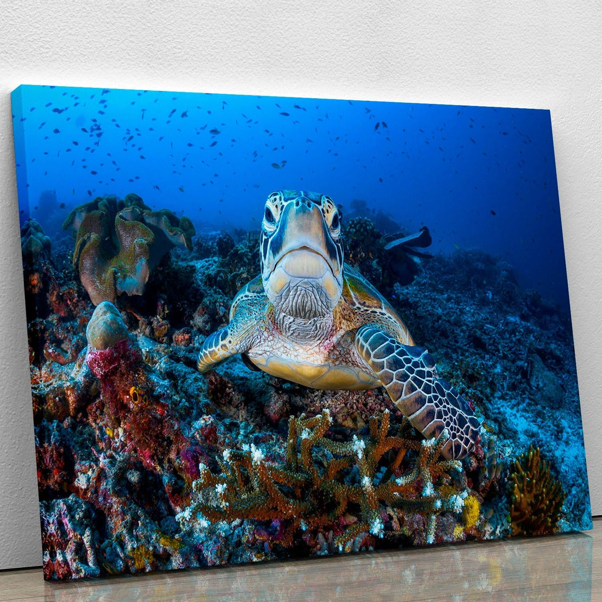 Face to Face With a Green Turtle Canvas Print – Stunning Wall Art for Any Space