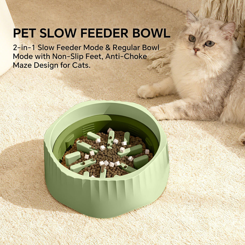 Dual Food and Water Bowl Set with Nonslip Base