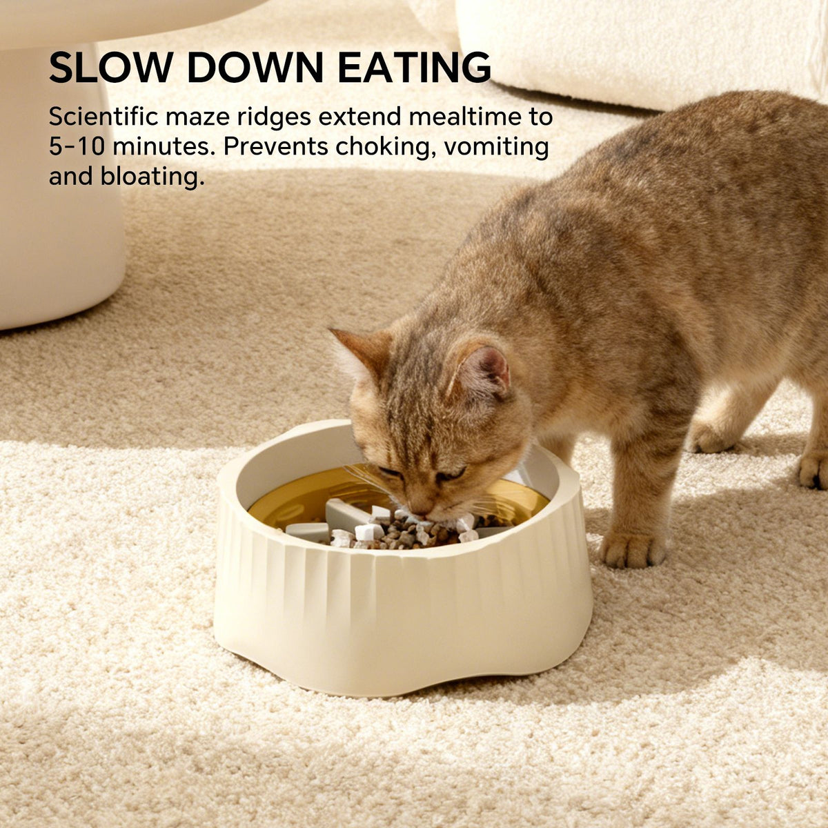 Dual Food and Water Bowl Set with Nonslip Base