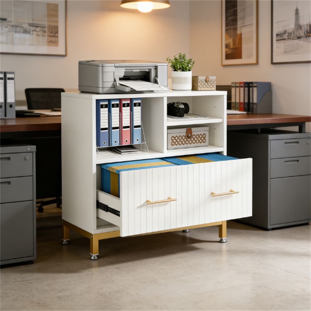Versatile & Adjustable File Cabinet with Printer Stand and Storage
