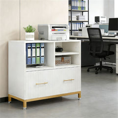 Versatile & Adjustable File Cabinet with Printer Stand and Storage