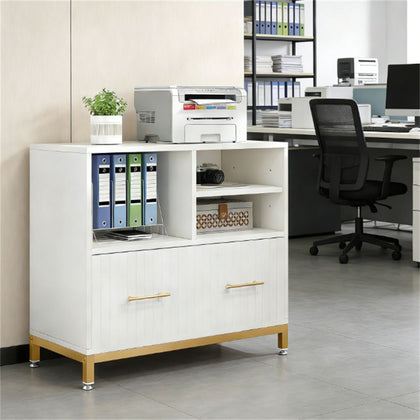 Versatile & Adjustable File Cabinet with Printer Stand and Storage