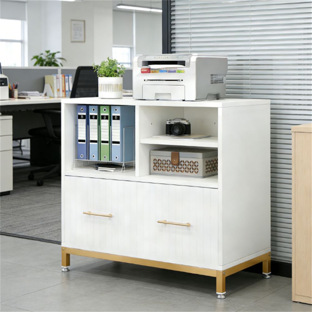 Versatile & Adjustable File Cabinet with Printer Stand and Storage