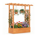 Raised Garden Bed with Side Trellises