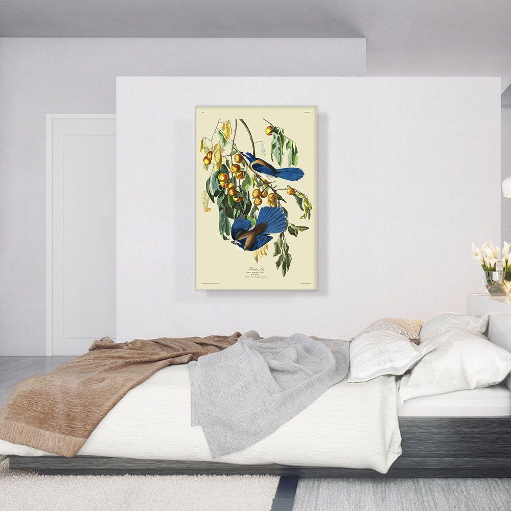 Florida Jay Canvas Wall Art