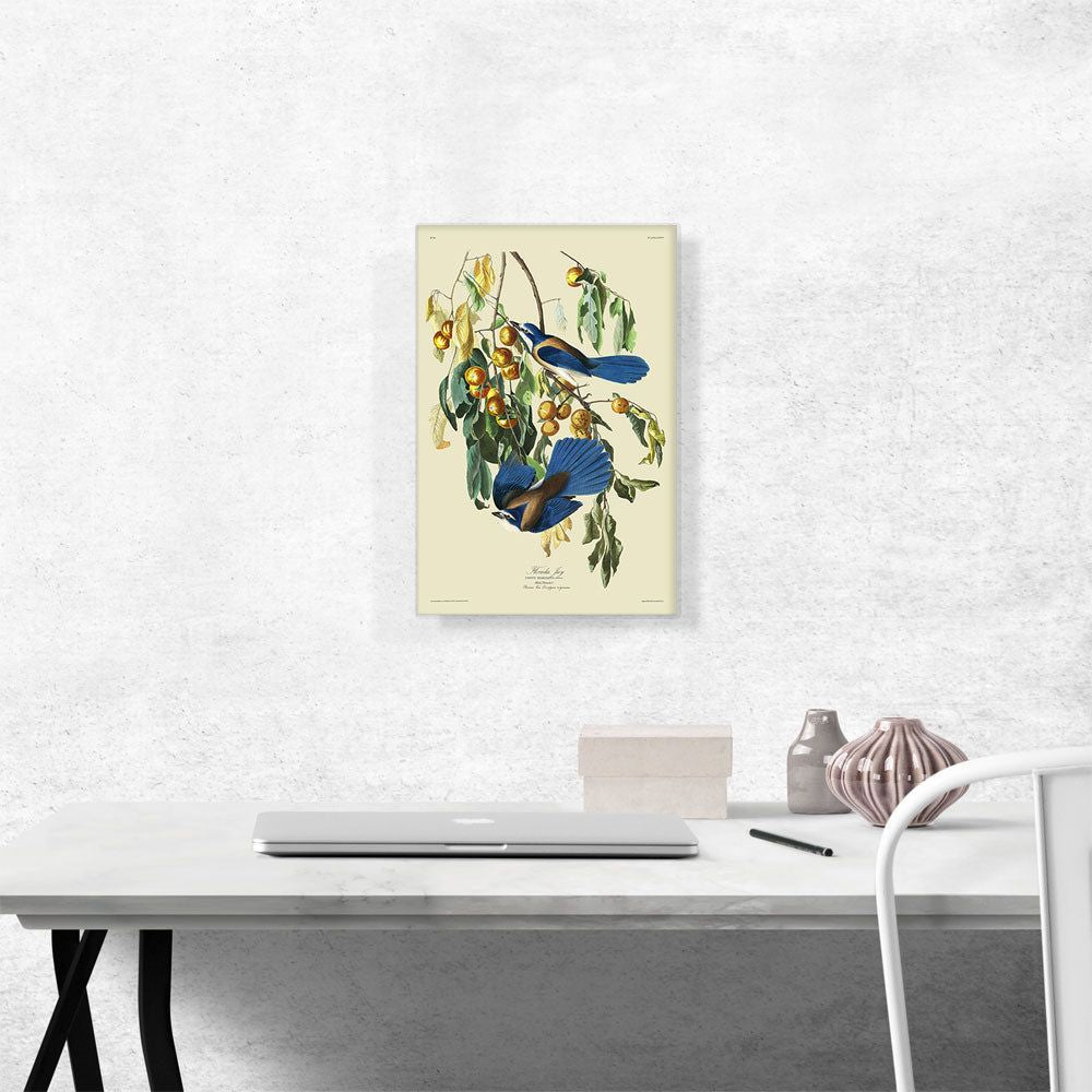 Florida Jay Canvas Wall Art