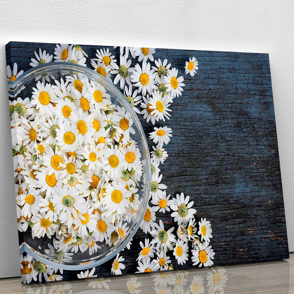 Fresh Roman Chamomile Flower Canvas Print or Poster