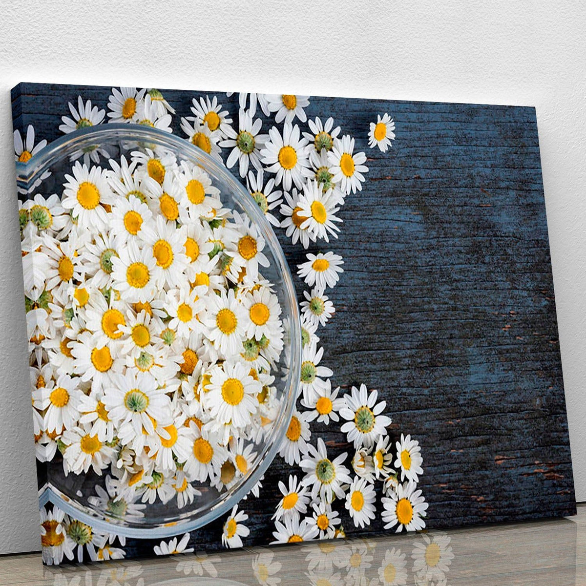 Fresh Roman Chamomile Flower Canvas Print or Poster