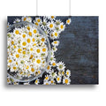 Fresh Roman Chamomile Flower Canvas Print or Poster