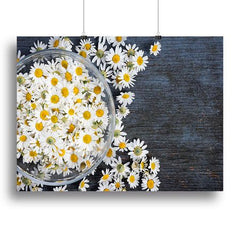 Fresh Roman Chamomile Flower Canvas Print or Poster