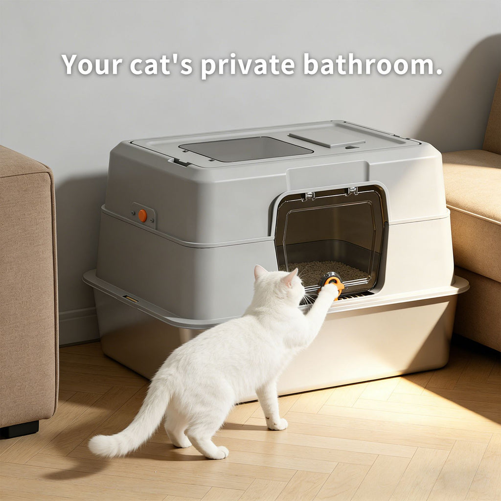 Fully Enclosed Cat Litter Box with Dual Access