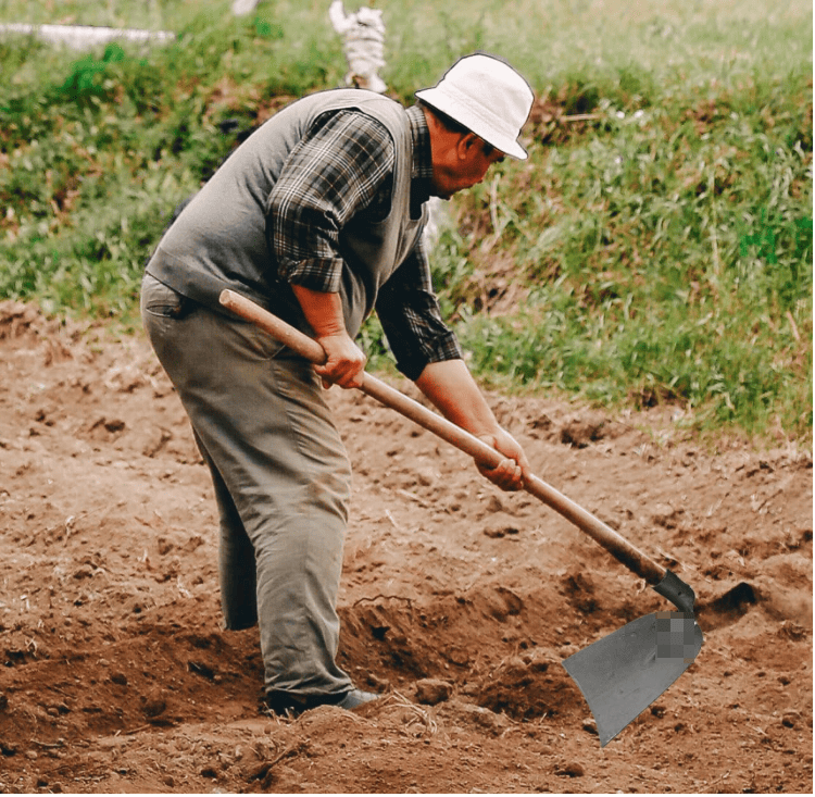 Premium Garden Hoe Head Replacement for Weeding and Planting