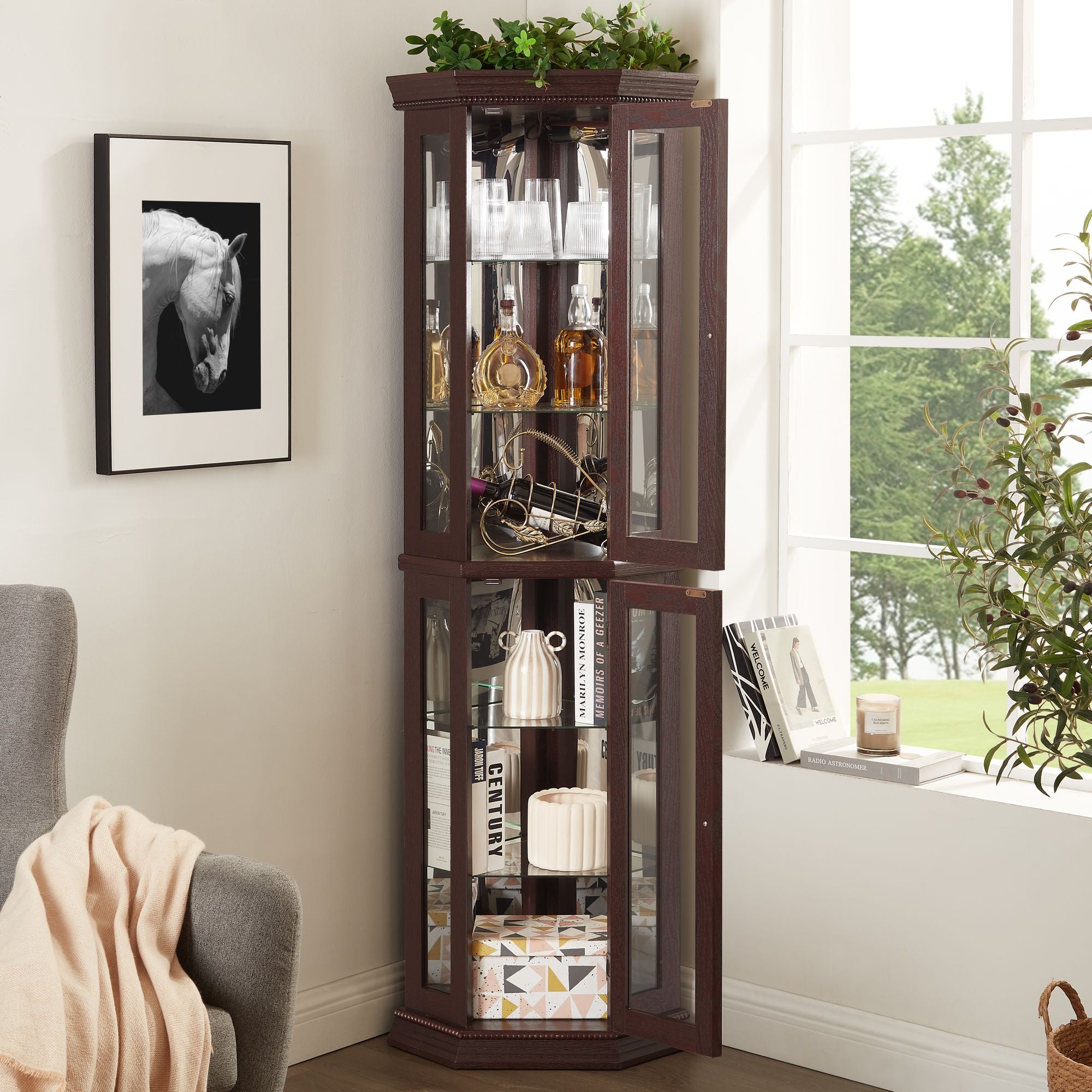 Lighted Corner Curio Cabinet with Adjustable Shelves